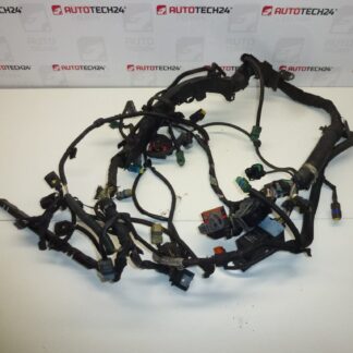 Cablaggio Citroën Peugeot 2.0HDI RHR 9662566480 9662566580 6569Y2