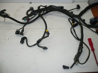 Cablaggio motore Peugeot 207 1.4i KFT 9674808180 9675247080