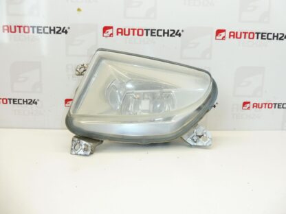 Fendinebbia sinistro Peugeot 607 9629555880 89200711 6204W5