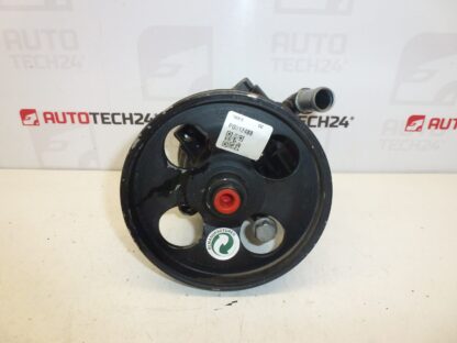 Servo Citroën Peugeot 1.6 HDI 9665709080 4007WL REPAS