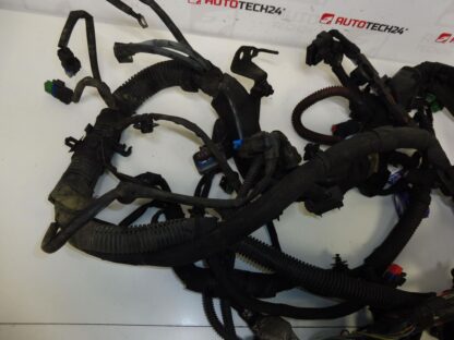 Citroën Peugeot 1.6HDI Pacchetto 9685743380 6569SA - immagine 4