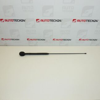 Antenna completa Citroën C3 Pluriel 6561R7 656197