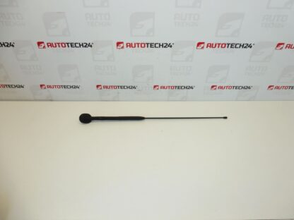 Antenna completa Citroën C3 Pluriel 6561R7 656197