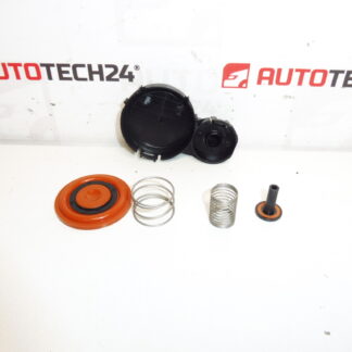 Kit membrana coperchio valvola 1.6 HDI 0248S0