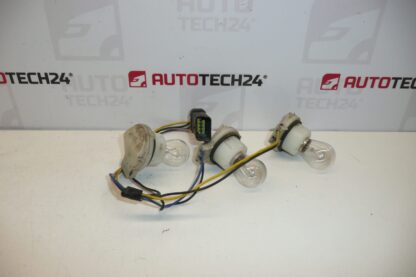 Fascio di luce Citroën C5 I e II Kombi 6534JZ - immagine 2