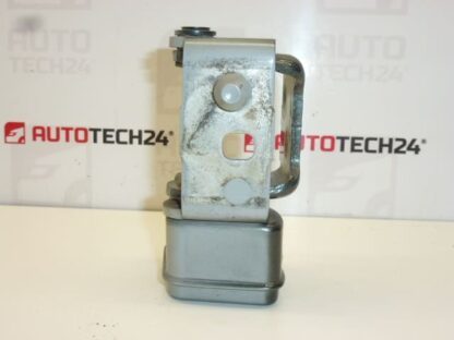 Fermo cerniera porta posteriore sinistra Peugeot 207 25009580 9037C1 - immagine 2